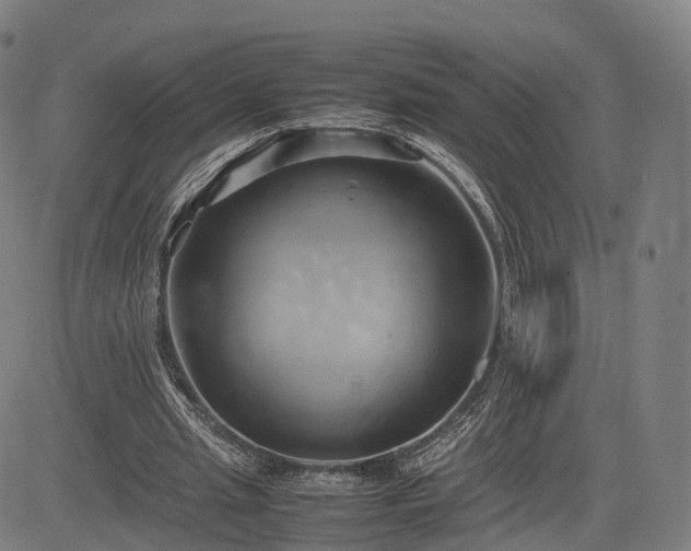 X0000083620437200702201320