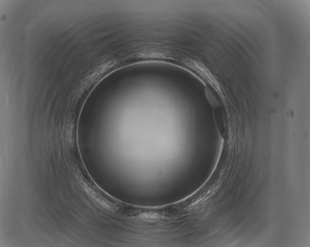X0000083620441200702201320