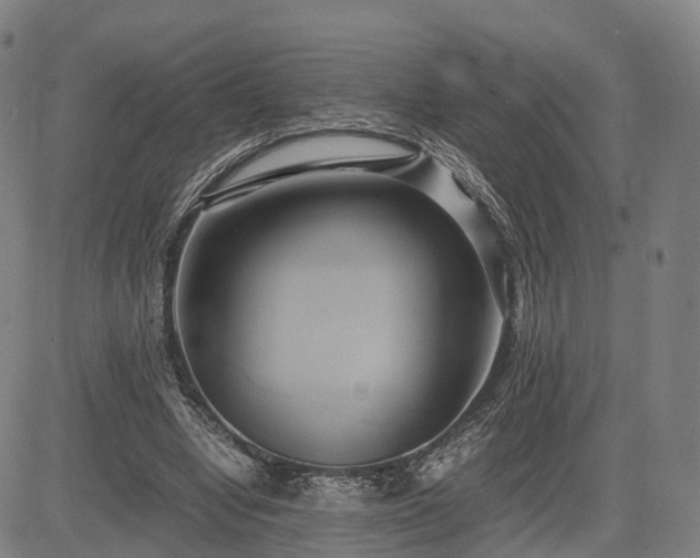 X0000083620442200702201320