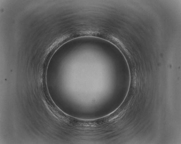 X0000083620443200702201320