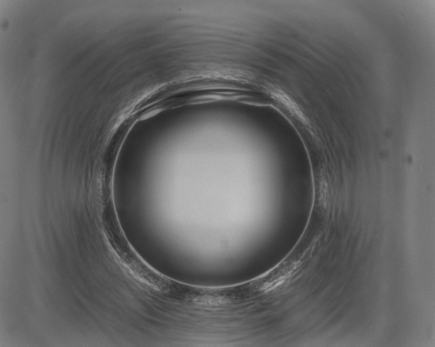X0000083620444200702201320