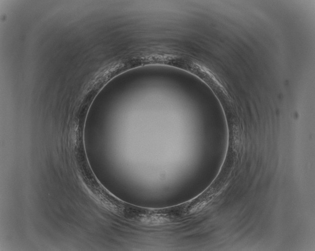 X0000083620451200702201320