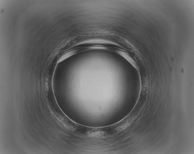 X0000083620452200702201320