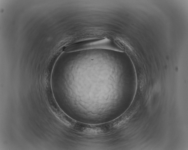 X0000083620455200702201320