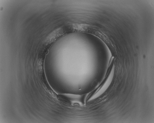 X0000083620466200702201320