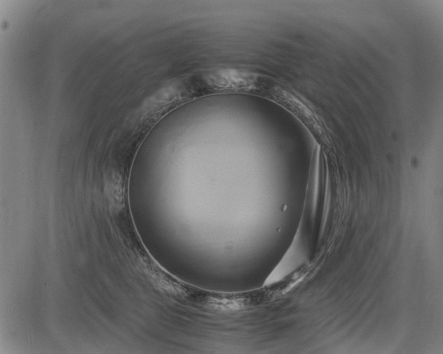 X0000083620469200702201321