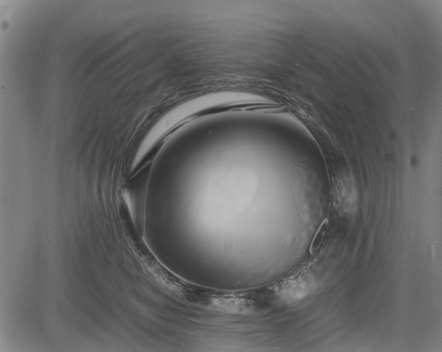 X0000083620470200702201321