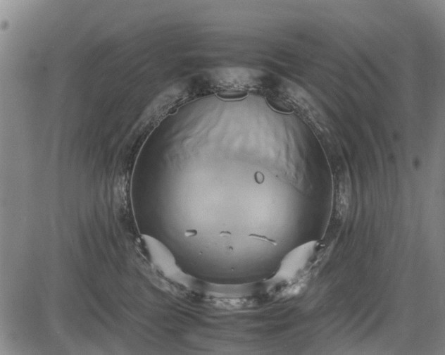 X0000083620473200702201321
