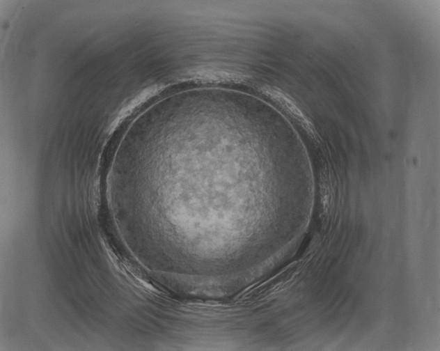 X0000083620488200702201320