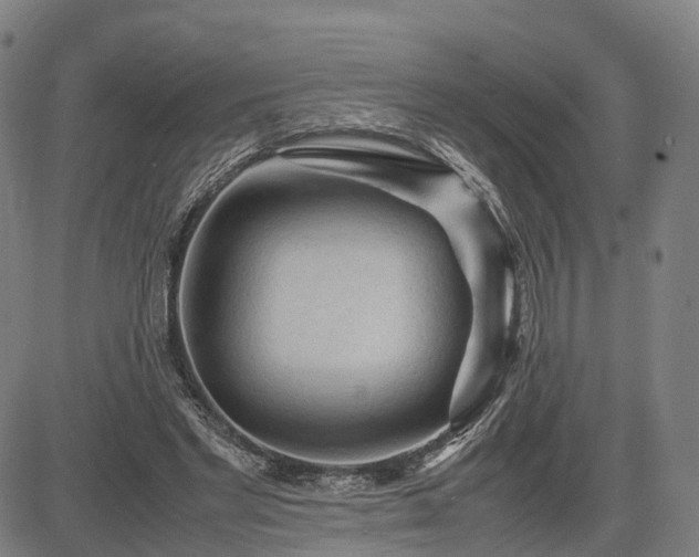 X0000083620493200702201320