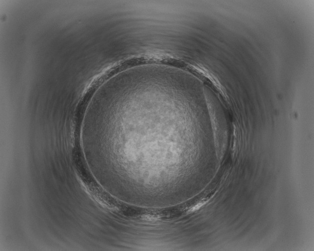 X0000083620496200702201320