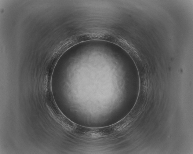 X0000083620498200702201320