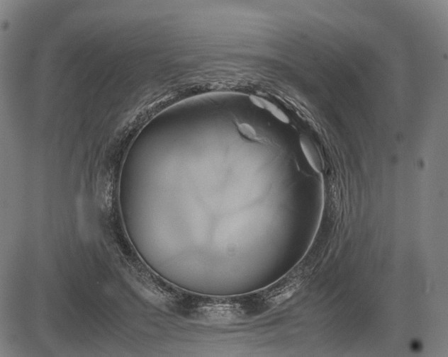 X0000083620499200702201320