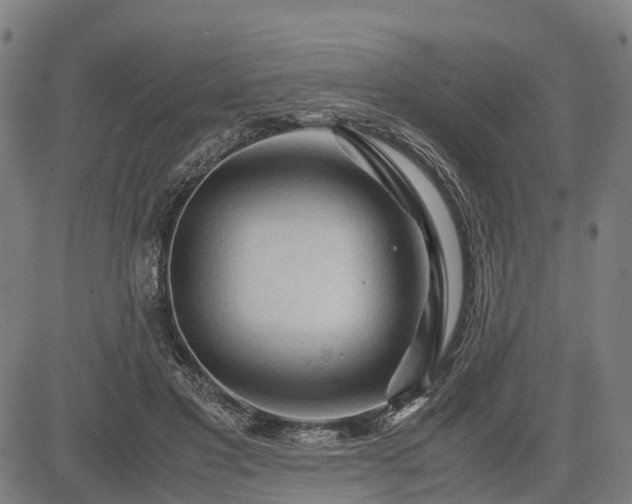 X0000083620501200702201320