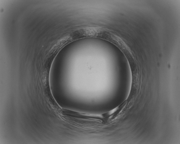 X0000083620505200702201319