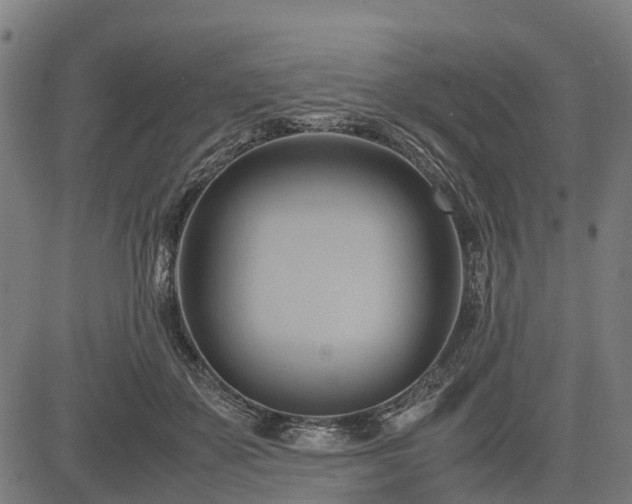 X0000083620507200702201319