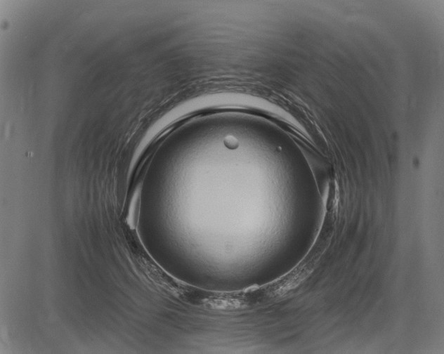 X0000083620512200702201319
