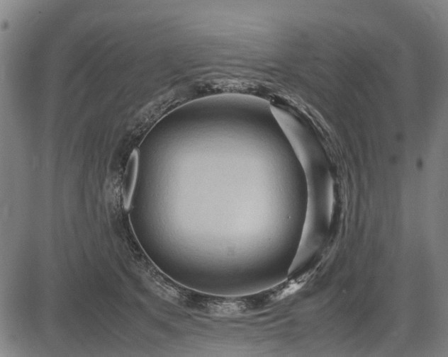X0000083620513200702201319
