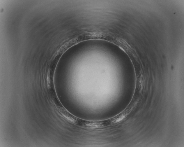 X0000083620516200702201319