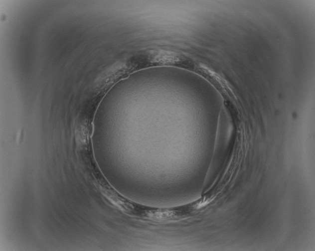 X0000083620517200702201319