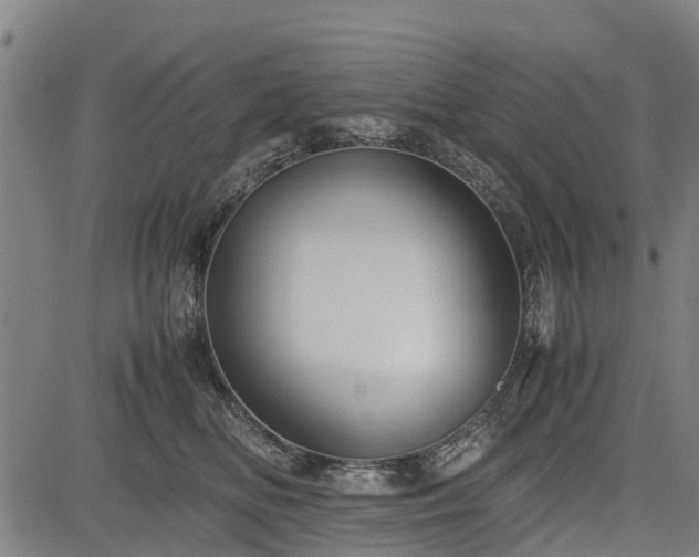 X0000083620518200702201319