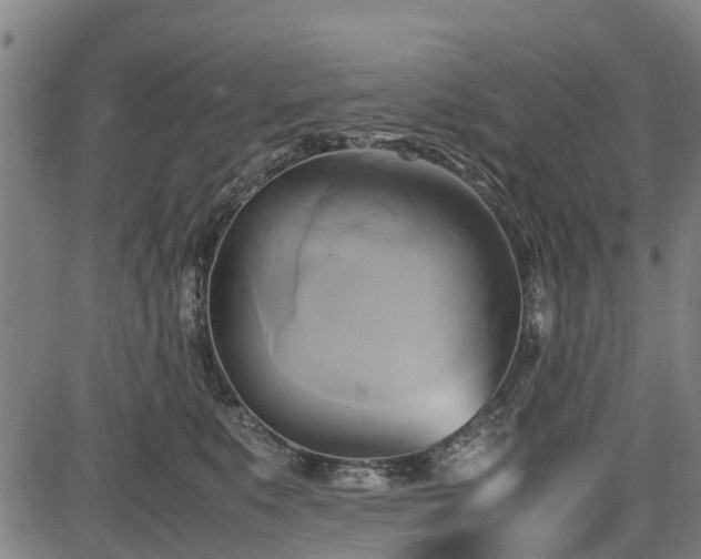 X0000083620519200702201319