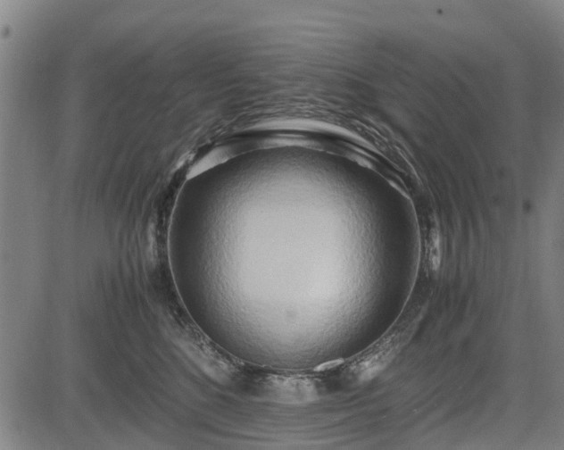 X0000083620520200702201319