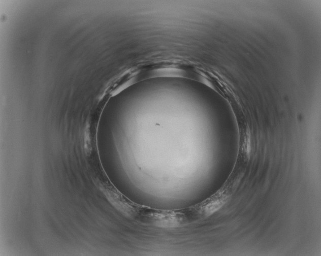 X0000083620524200702201319