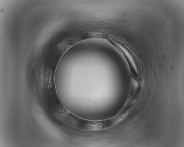 X0000083620525200702201319