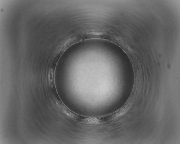 X0000083620528200702201319