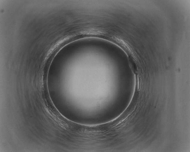 X0000083620531200702201318