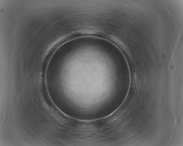 X0000083620535200702201318