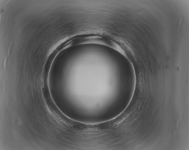X0000083620536200702201318