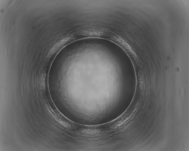 X0000083620537200702201318