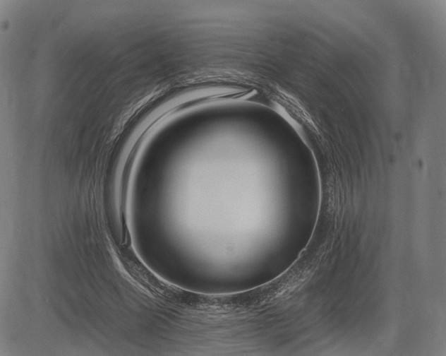 X0000083620538200702201318