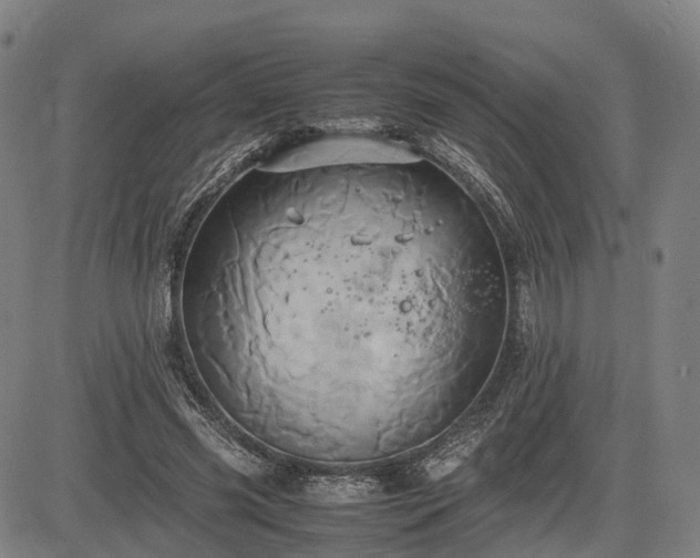 X0000083620541200702201318