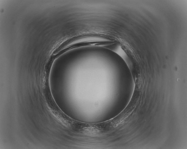 X0000083620544200702201319