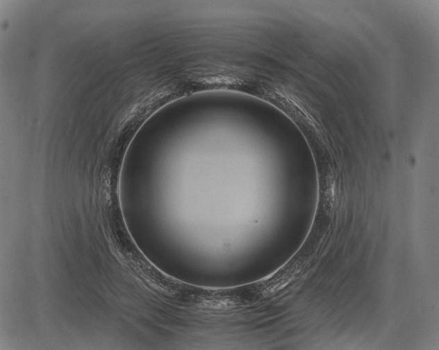 X0000083620547200702201319