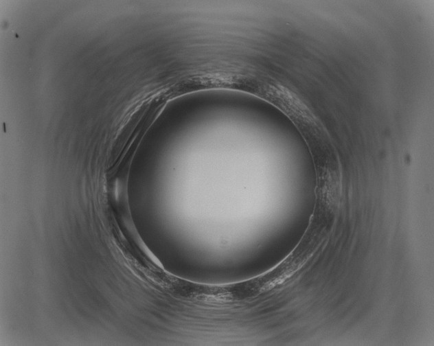 X0000083620548200702201319