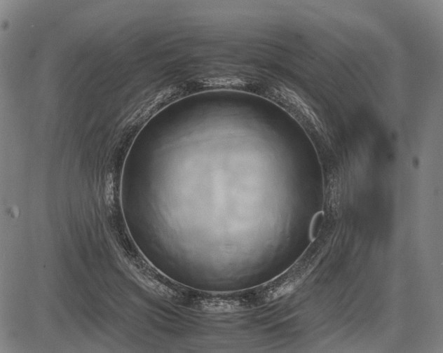 X0000083620549200702201319