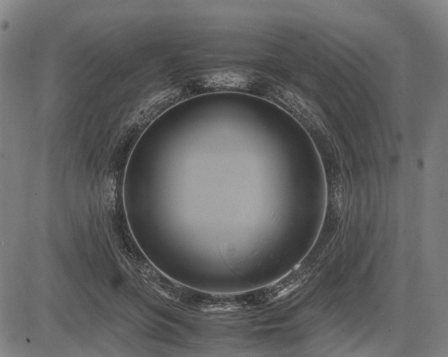 X0000083620551200702201319