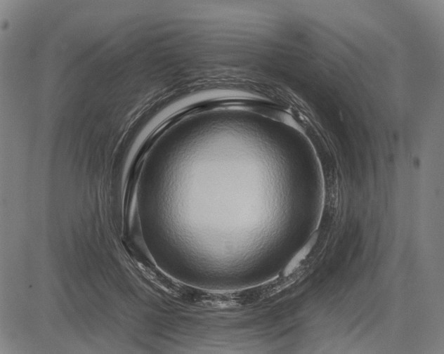 X0000083620552200702201319