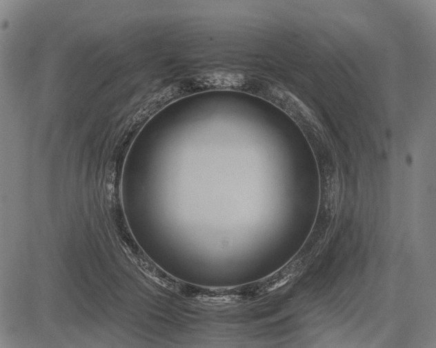 X0000083620553200702201319