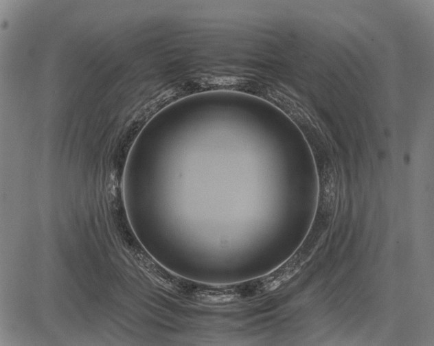 X0000083620555200702201319