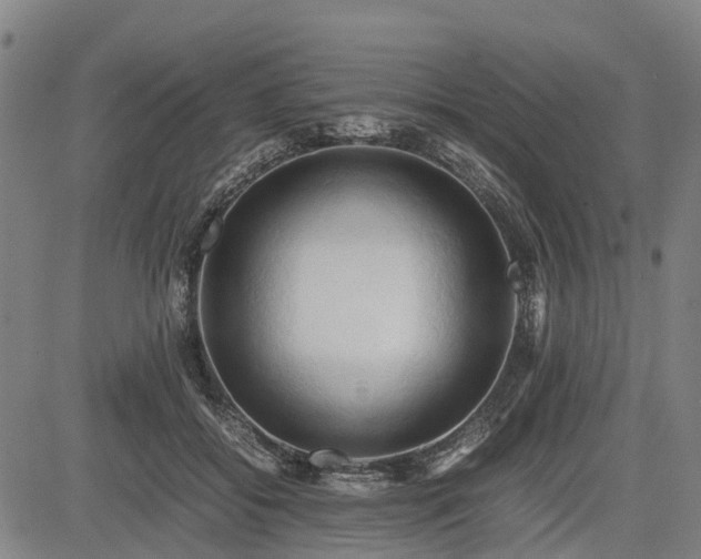 X0000083620556200702201319