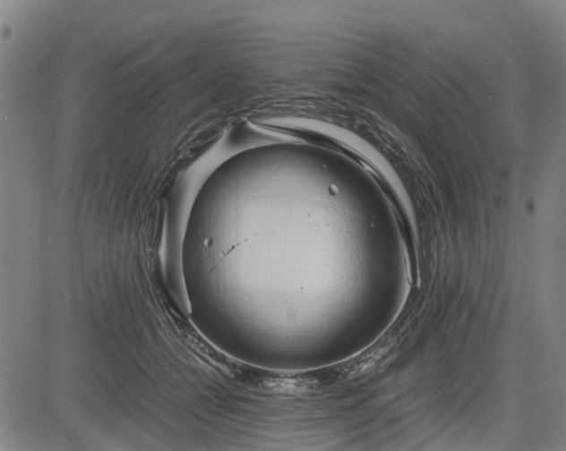 X0000083620558200702201319