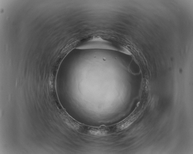 X0000083620561200702201319