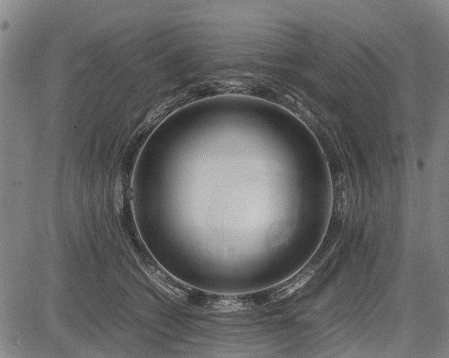 X0000083620562200702201319