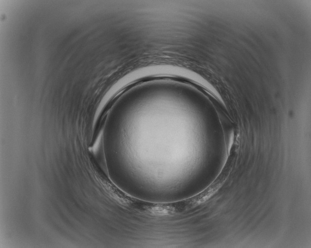 X0000083620566200702201319