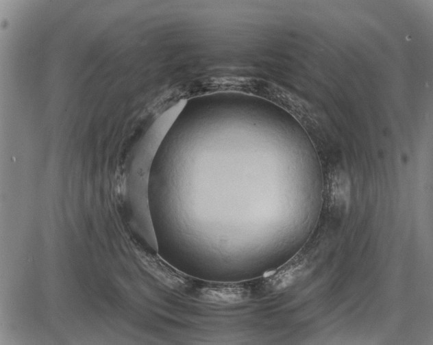 X0000083620567200702201319